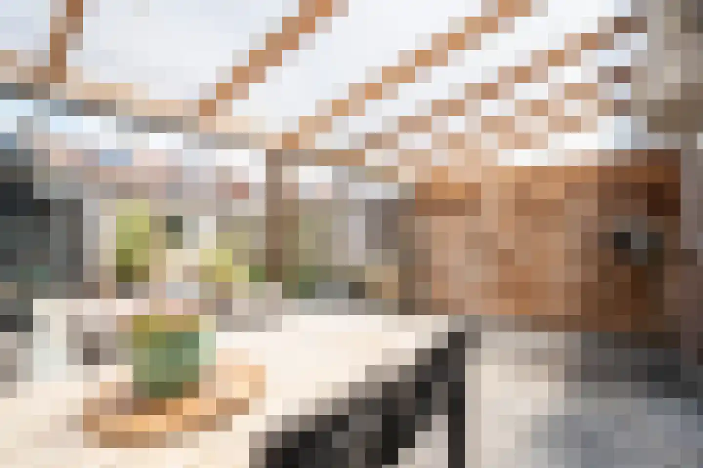 Pinksterbloemstraat 26 Geertruidenberg thumbnail 4
