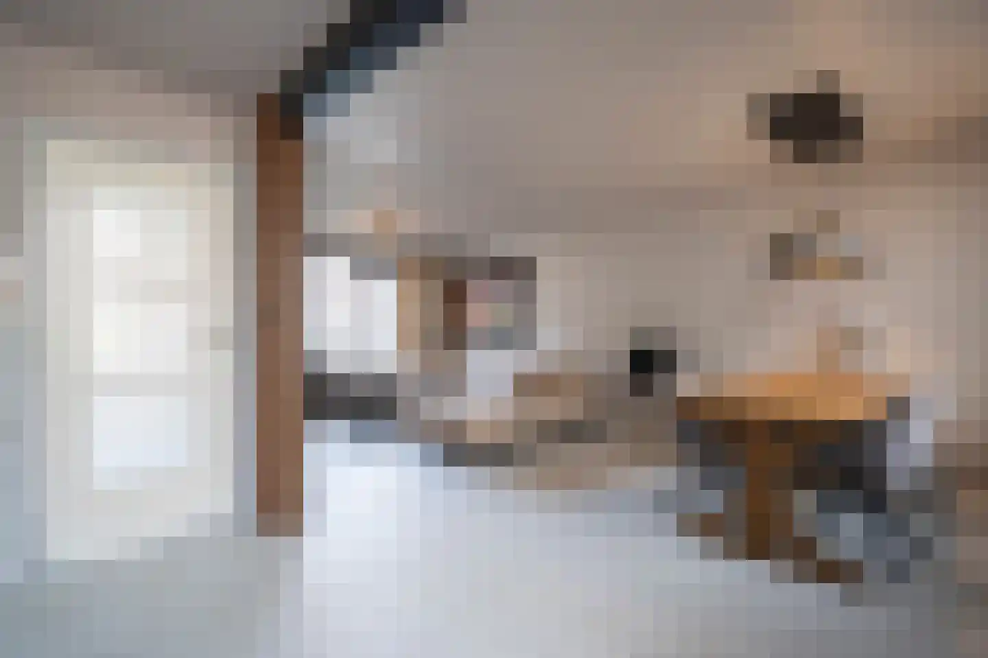 Pinksterbloemstraat 26 Geertruidenberg thumbnail 6