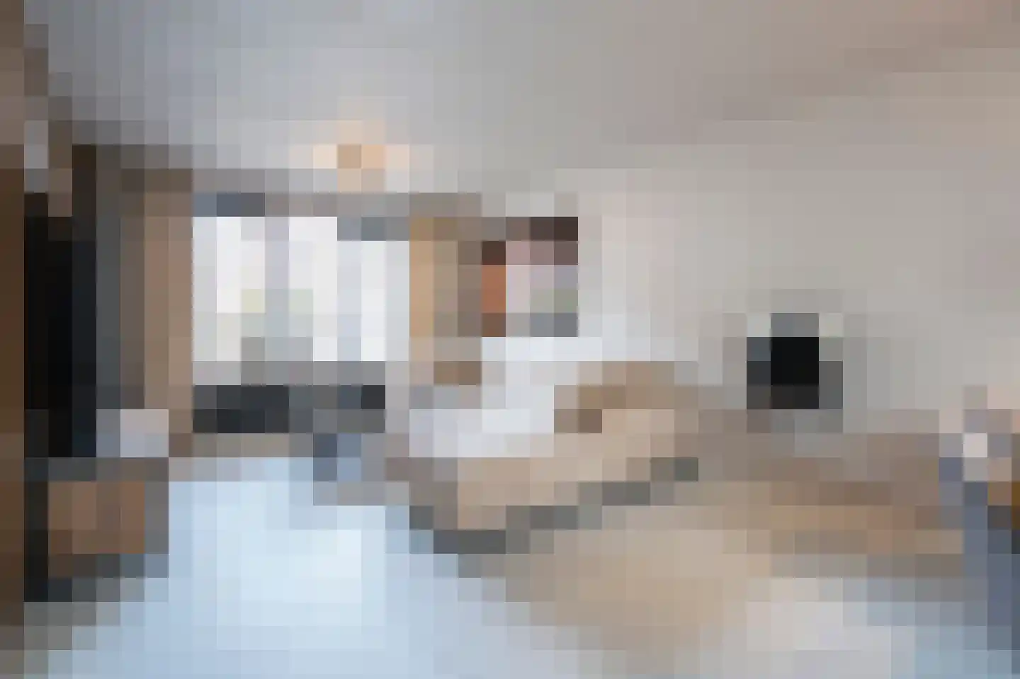 Pinksterbloemstraat 26 Geertruidenberg thumbnail 7