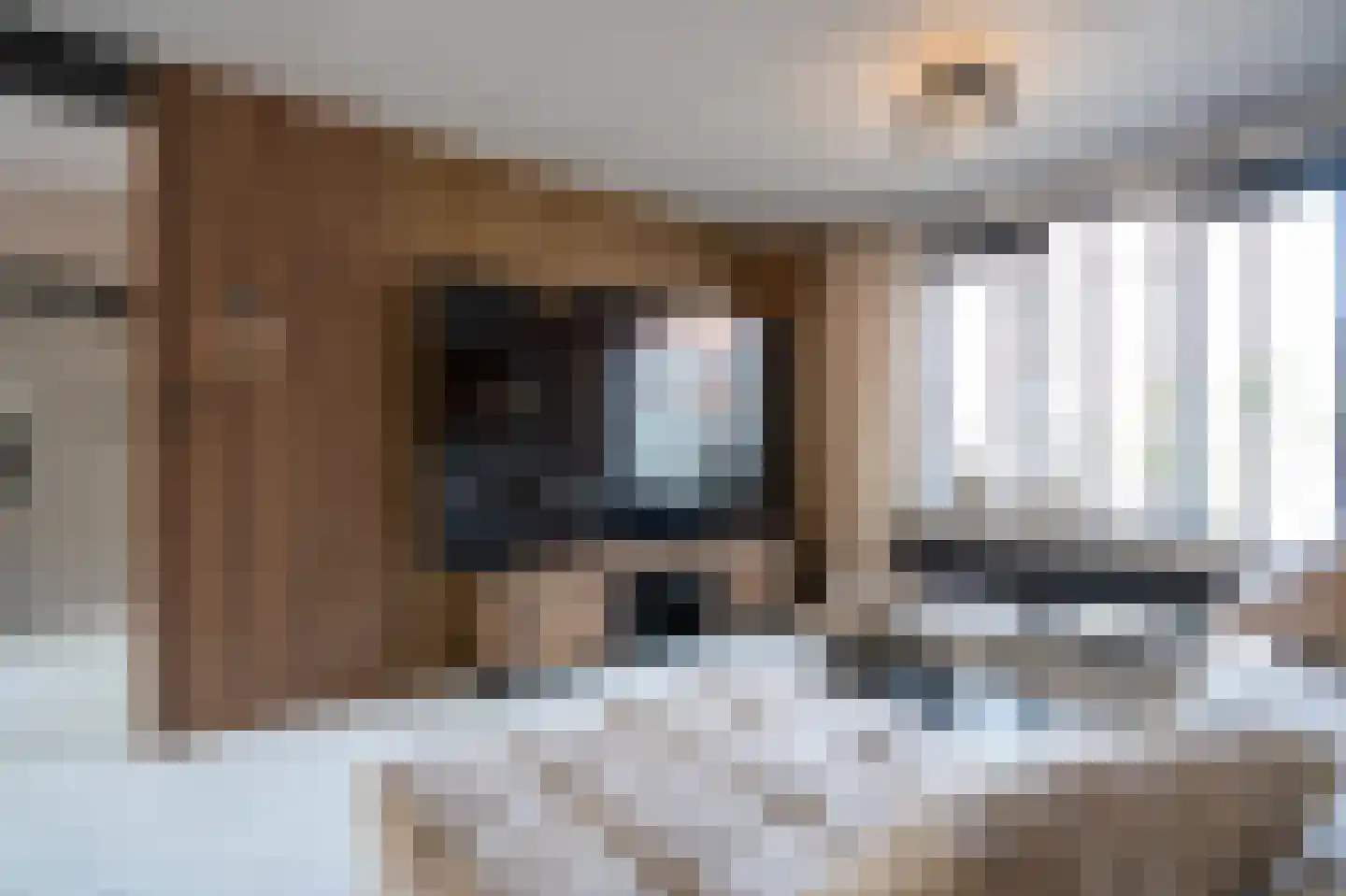 Pinksterbloemstraat 26 Geertruidenberg thumbnail 8