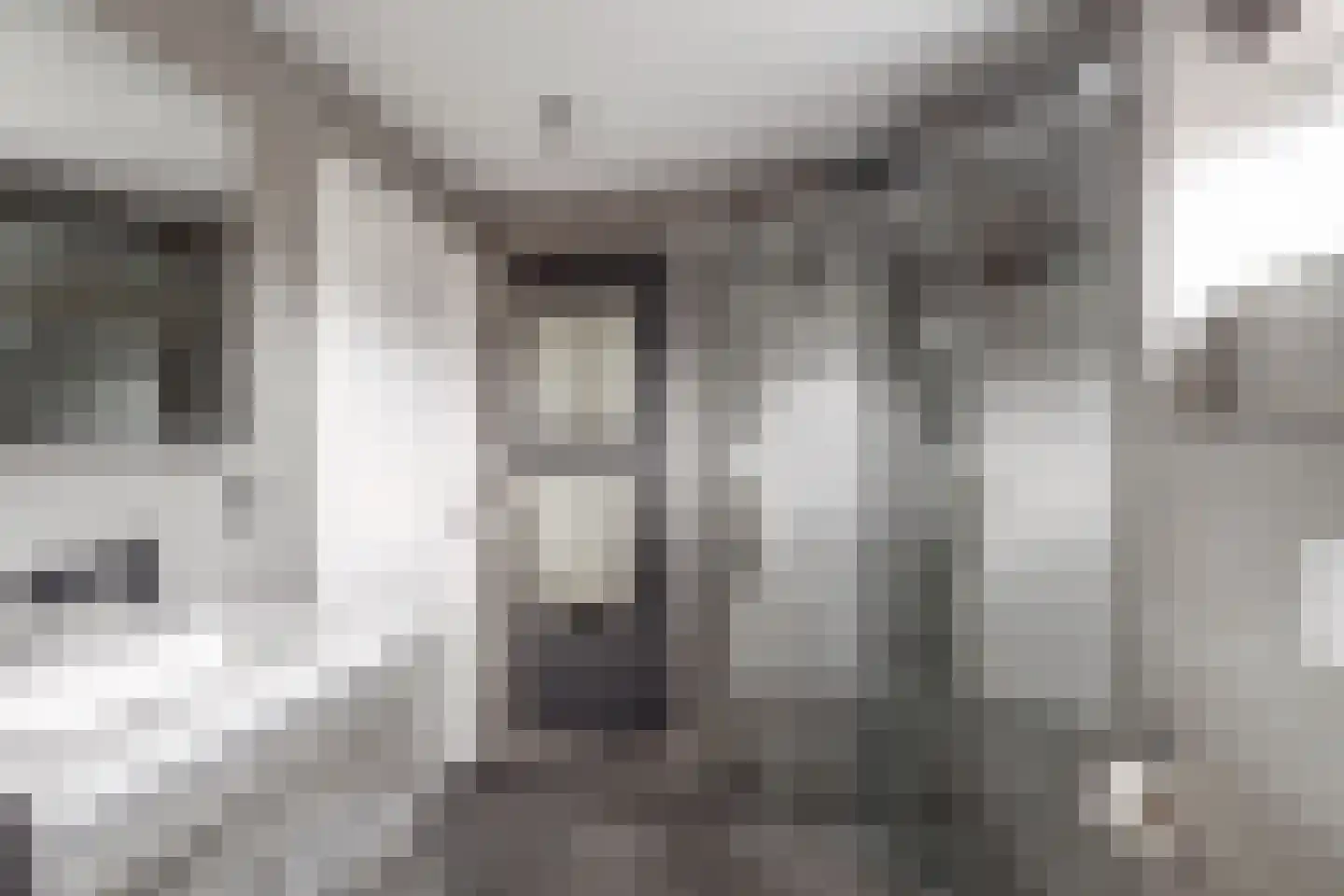 Pinksterbloemstraat 27 Hoogblokland thumbnail 33