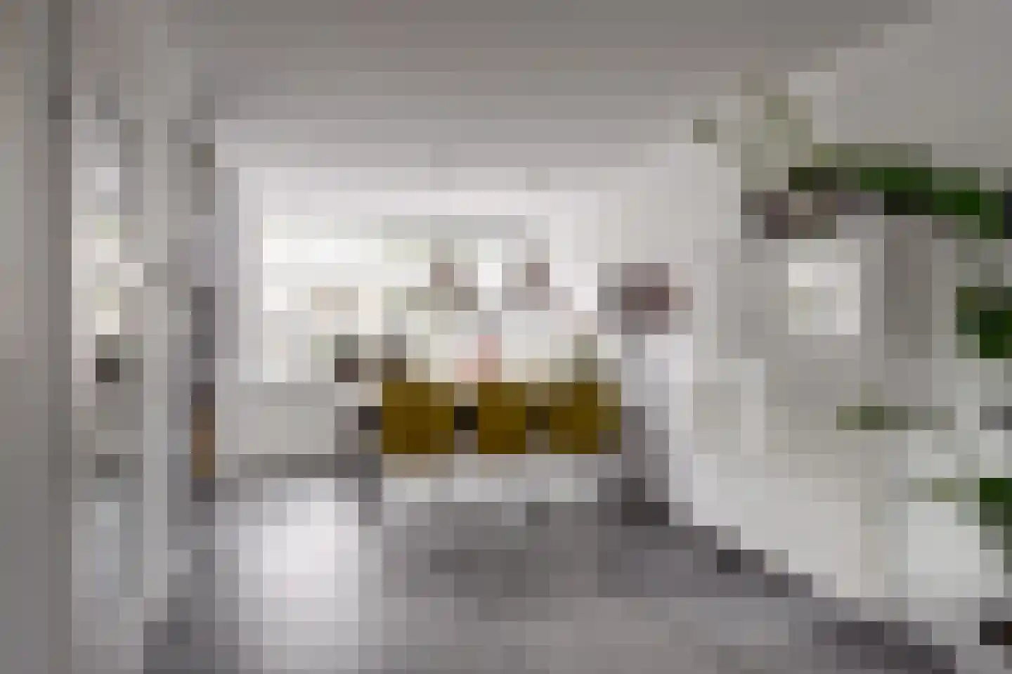 Pinksterbloemstraat 27 Hoogblokland thumbnail 9