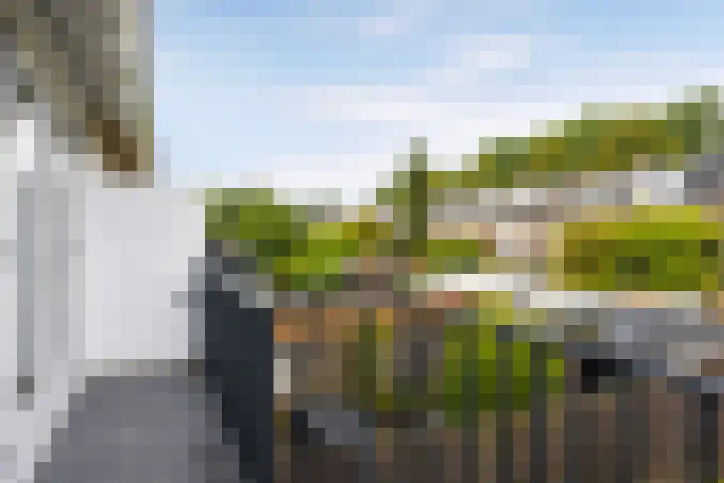 Pinksterbloemstraat 30 Arnhem thumbnail 24
