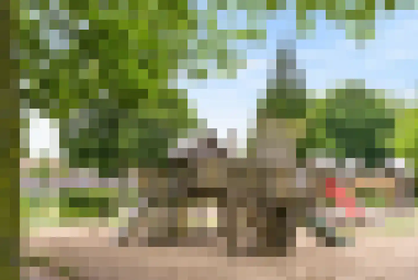 Pinksterbloemstraat 30 Arnhem thumbnail 39