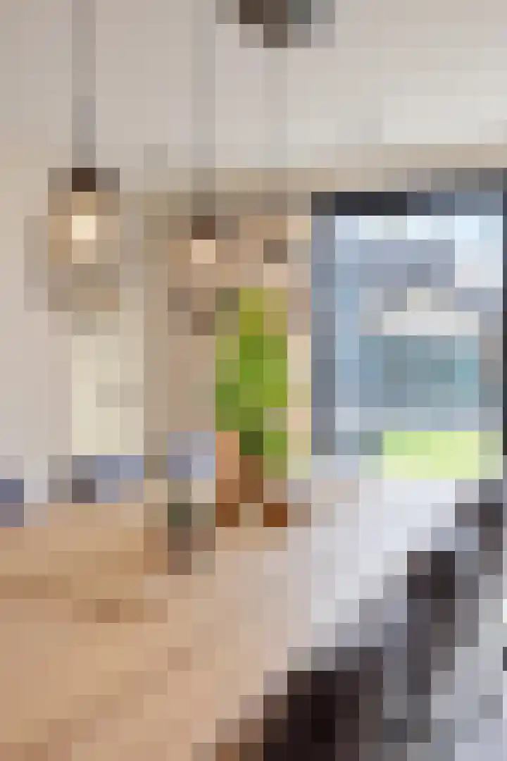 Pinksterbloemstraat 4 Rosmalen thumbnail 14