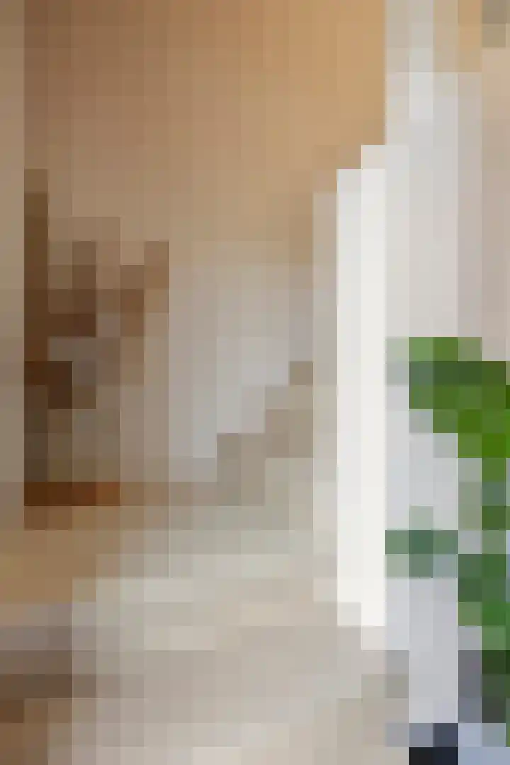 Pinksterbloemstraat 4 Rosmalen thumbnail 23