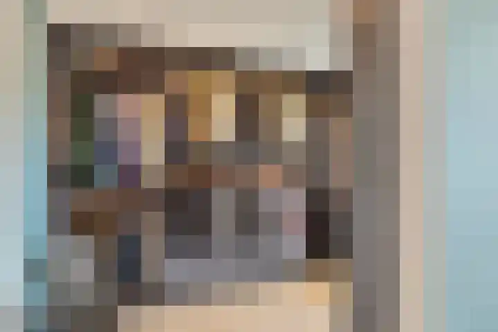 Pinksterbloemstraat 4 Rosmalen thumbnail 30