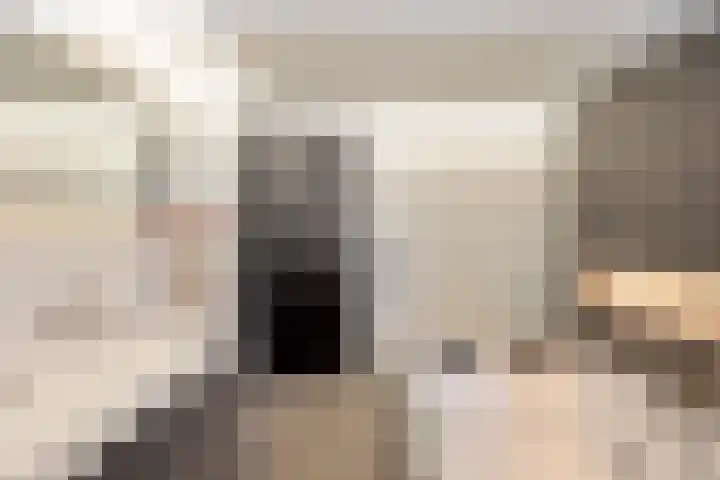 Pinksterbloemstraat 4 Rosmalen thumbnail 37