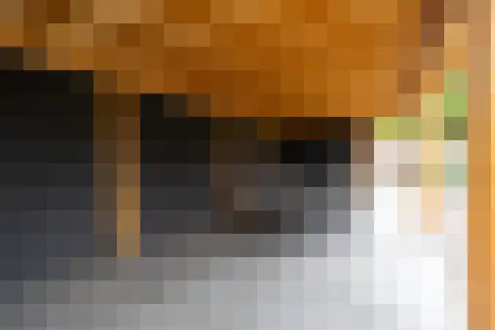 Pinksterbloemstraat 4 Rosmalen thumbnail 52