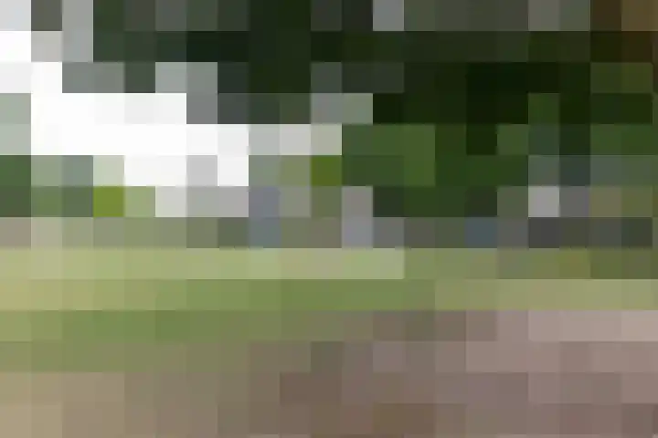 Pinksterbloemstraat 4 Rosmalen thumbnail 60