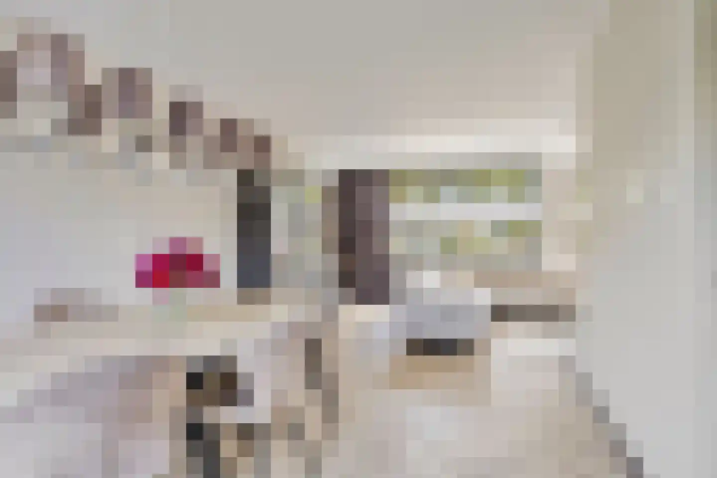 Pinksterbloemstraat 5 Beuningen Gld thumbnail 12