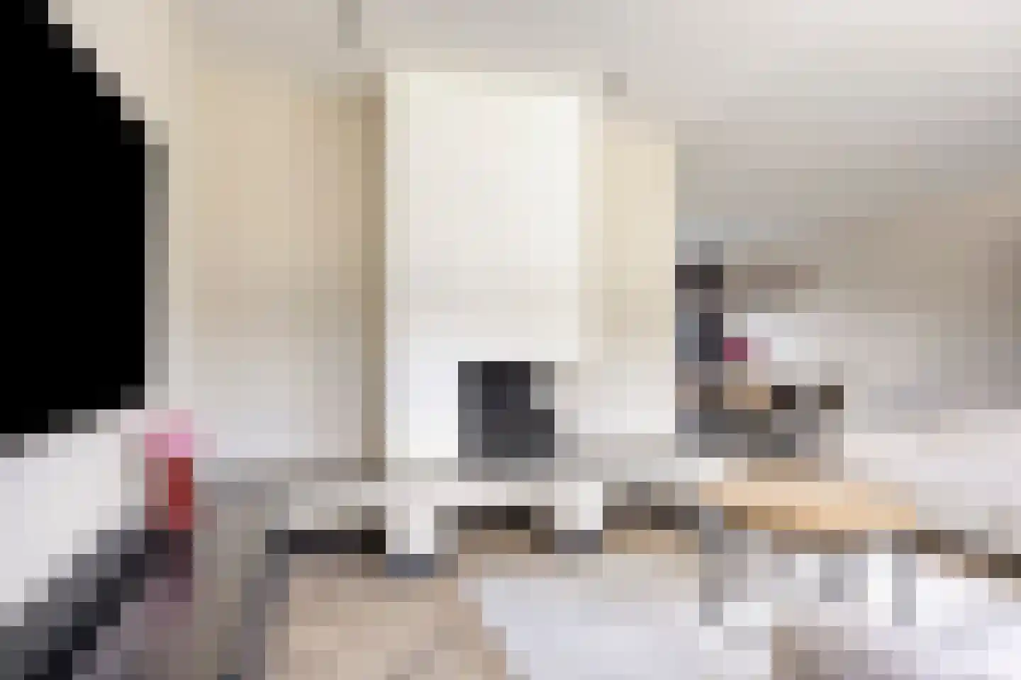 Pinksterbloemstraat 5 Beuningen Gld thumbnail 14