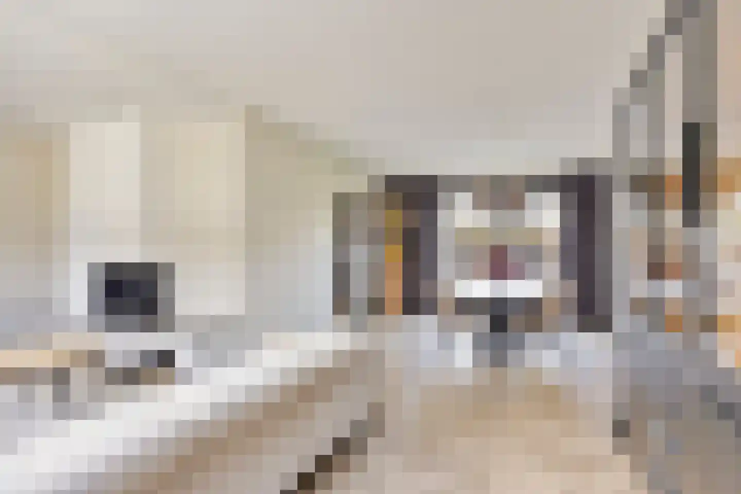Pinksterbloemstraat 5 Beuningen Gld thumbnail 16