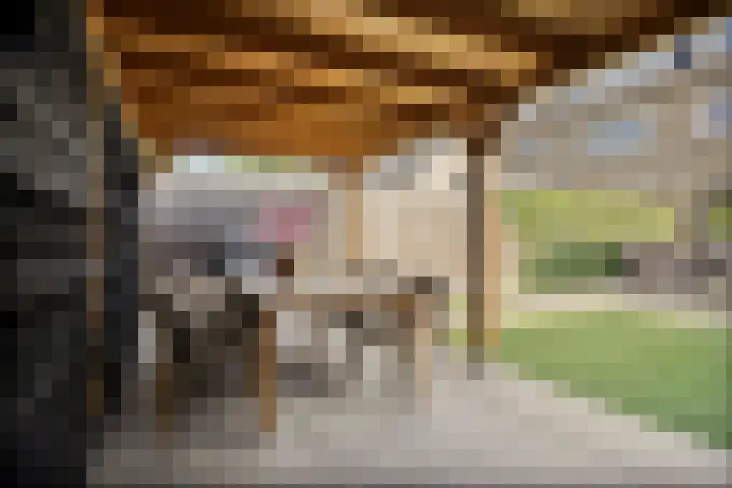Pinksterbloemstraat 5 Beuningen Gld thumbnail 42