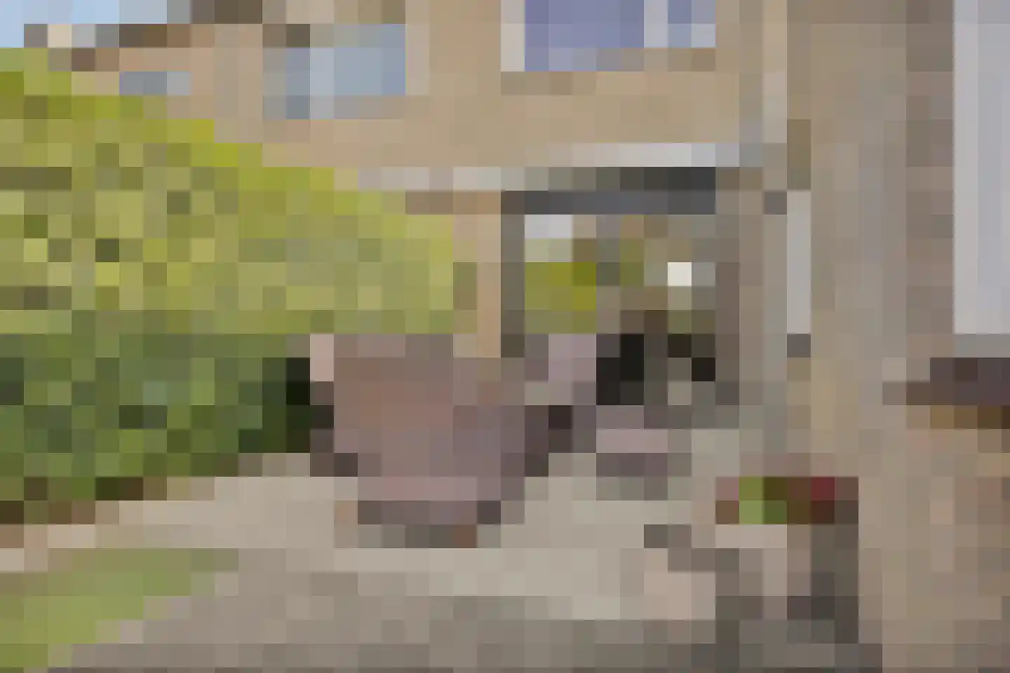 Pinksterbloemstraat 5 Beuningen Gld thumbnail 44