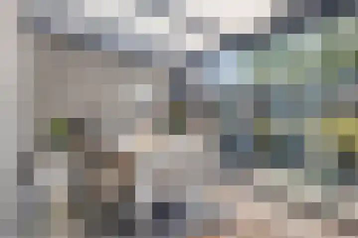 Pinksterbloemstraat 57 Goes thumbnail 17