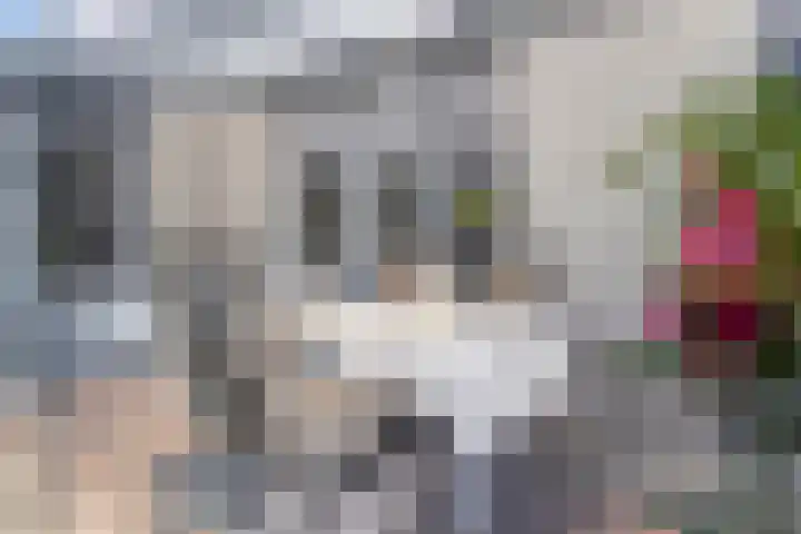 Pinksterbloemstraat 57 Goes thumbnail 18
