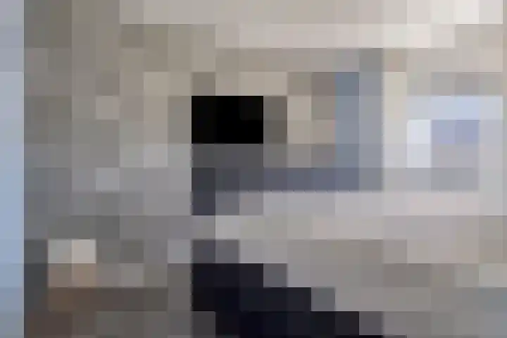 Pinksterbloemstraat 57 Goes thumbnail 22