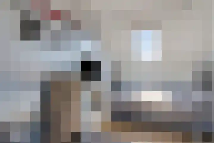 Pinksterbloemstraat 57 Goes thumbnail 27