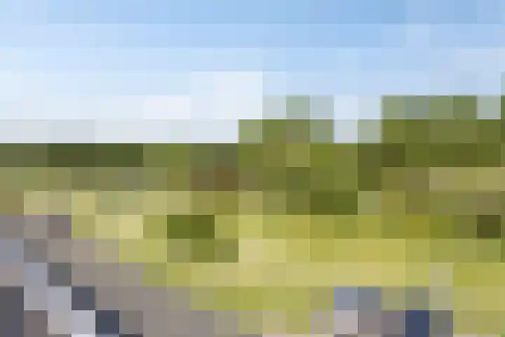 Pinksterbloemstraat 57 Goes thumbnail 30