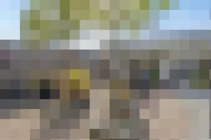 Pinksterbloemstraat 57 Goes thumbnail 32