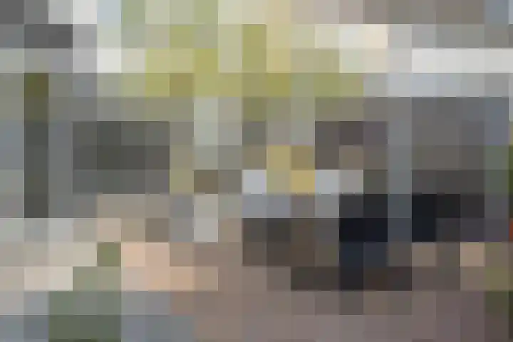 Pinksterbloemstraat 57 Goes thumbnail 33