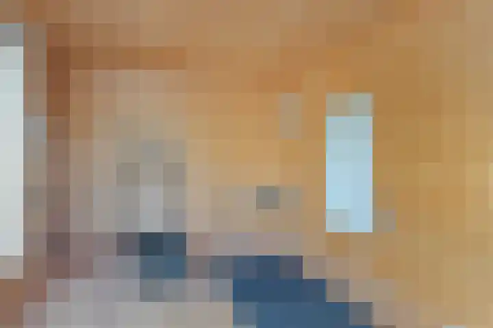 Pinksterbloemstraat 57 Goes thumbnail 34