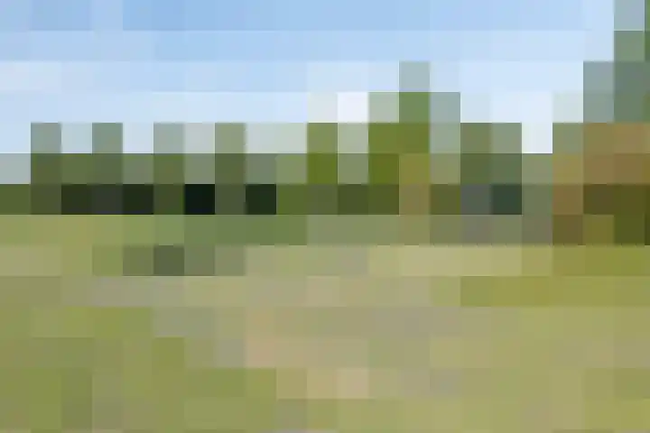 Pinksterbloemstraat 57 Goes thumbnail 35