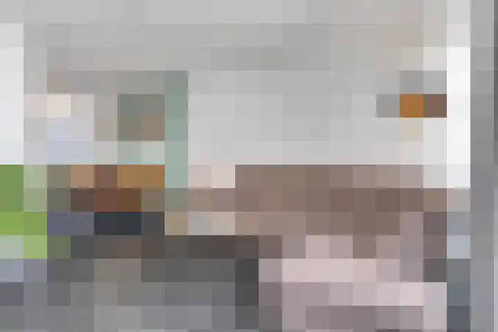 Pinksterbloemstraat 57 Goes thumbnail 8