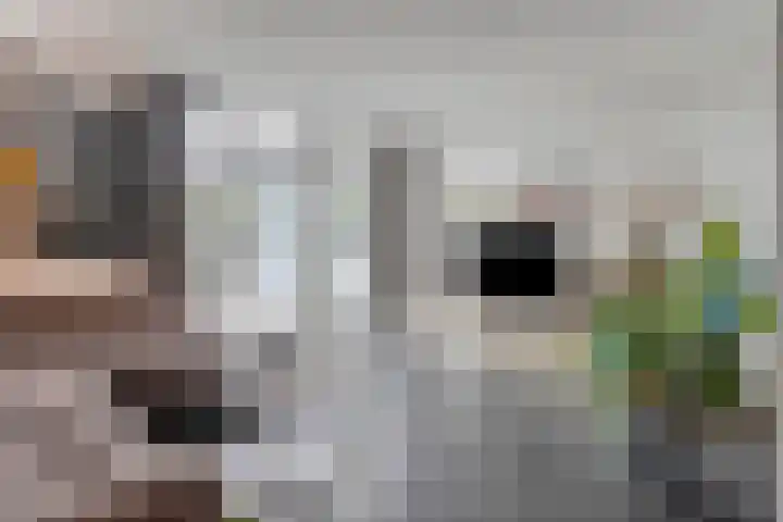 Pinksterbloemstraat 57 Goes thumbnail 9