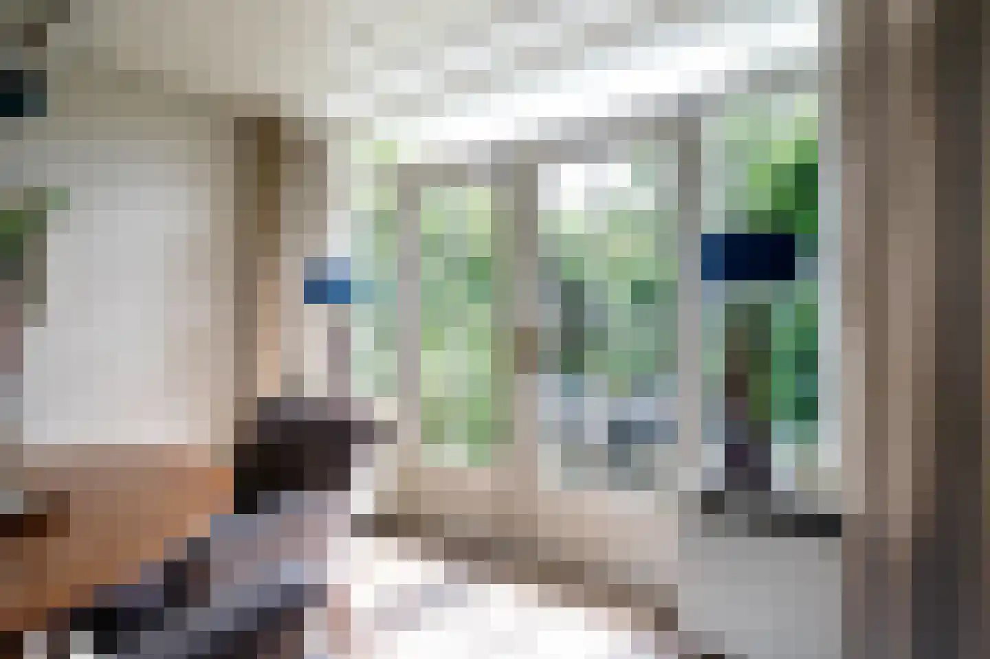 Pinksterbloemstraat 6 Krimpen aan de Lek thumbnail 16