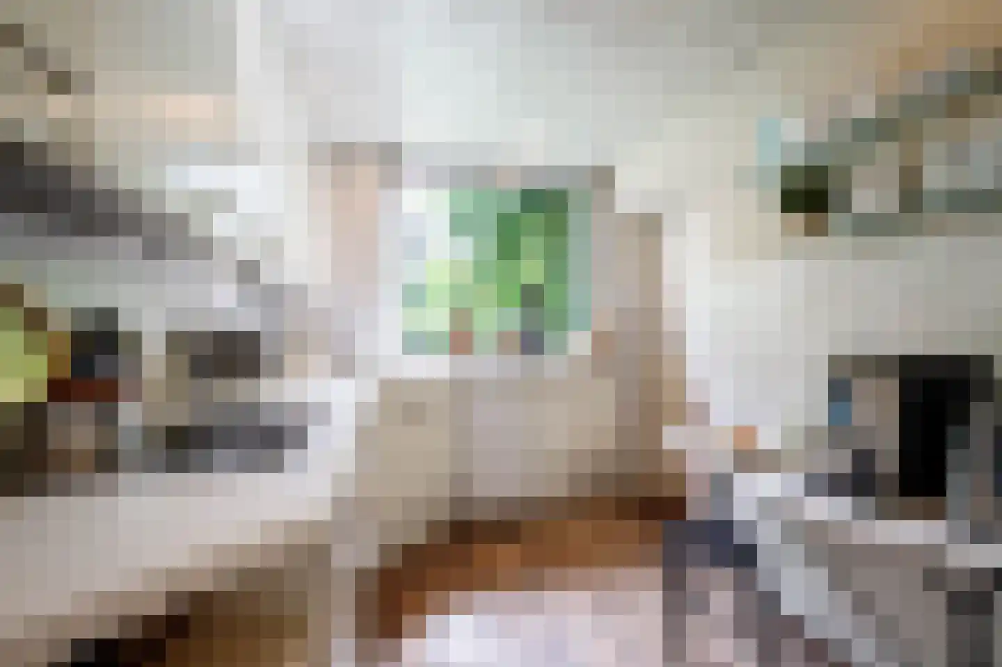 Pinksterbloemstraat 6 Krimpen aan de Lek thumbnail 18