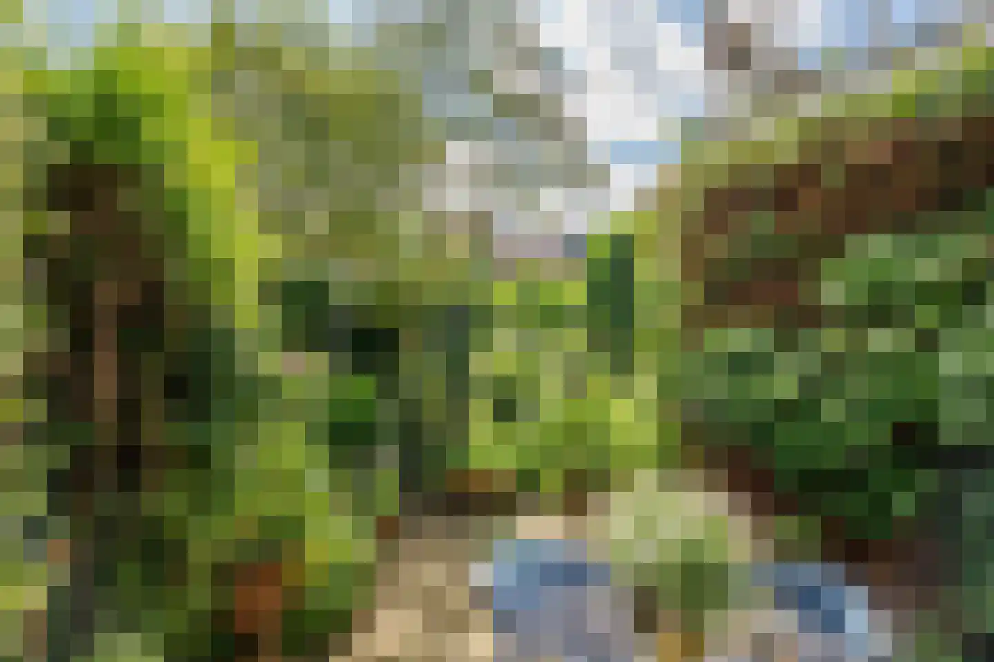 Pinksterbloemstraat 6 Krimpen aan de Lek thumbnail 32