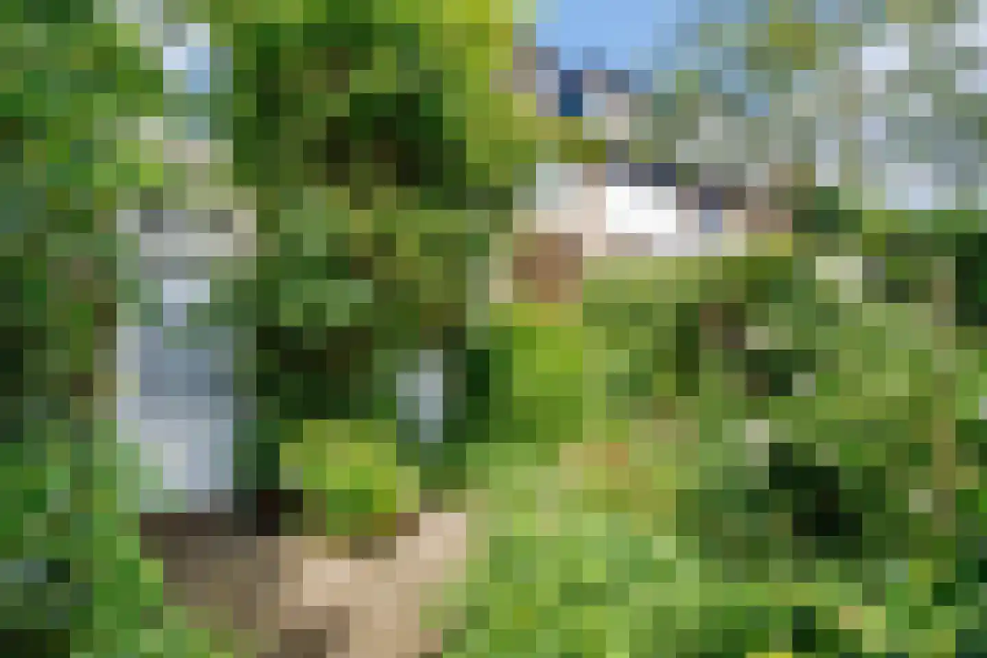 Pinksterbloemstraat 6 Krimpen aan de Lek thumbnail 34