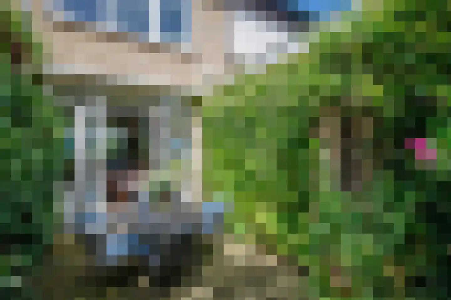 Pinksterbloemstraat 6 Krimpen aan de Lek thumbnail 4