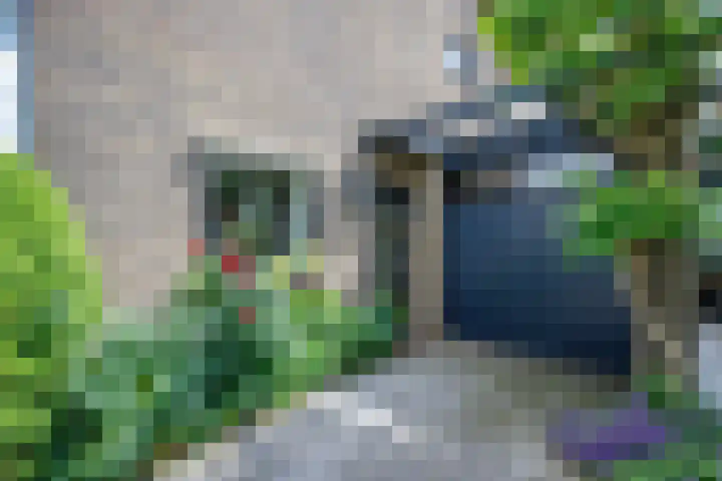 Pinksterbloemstraat 6 Krimpen aan de Lek thumbnail 6