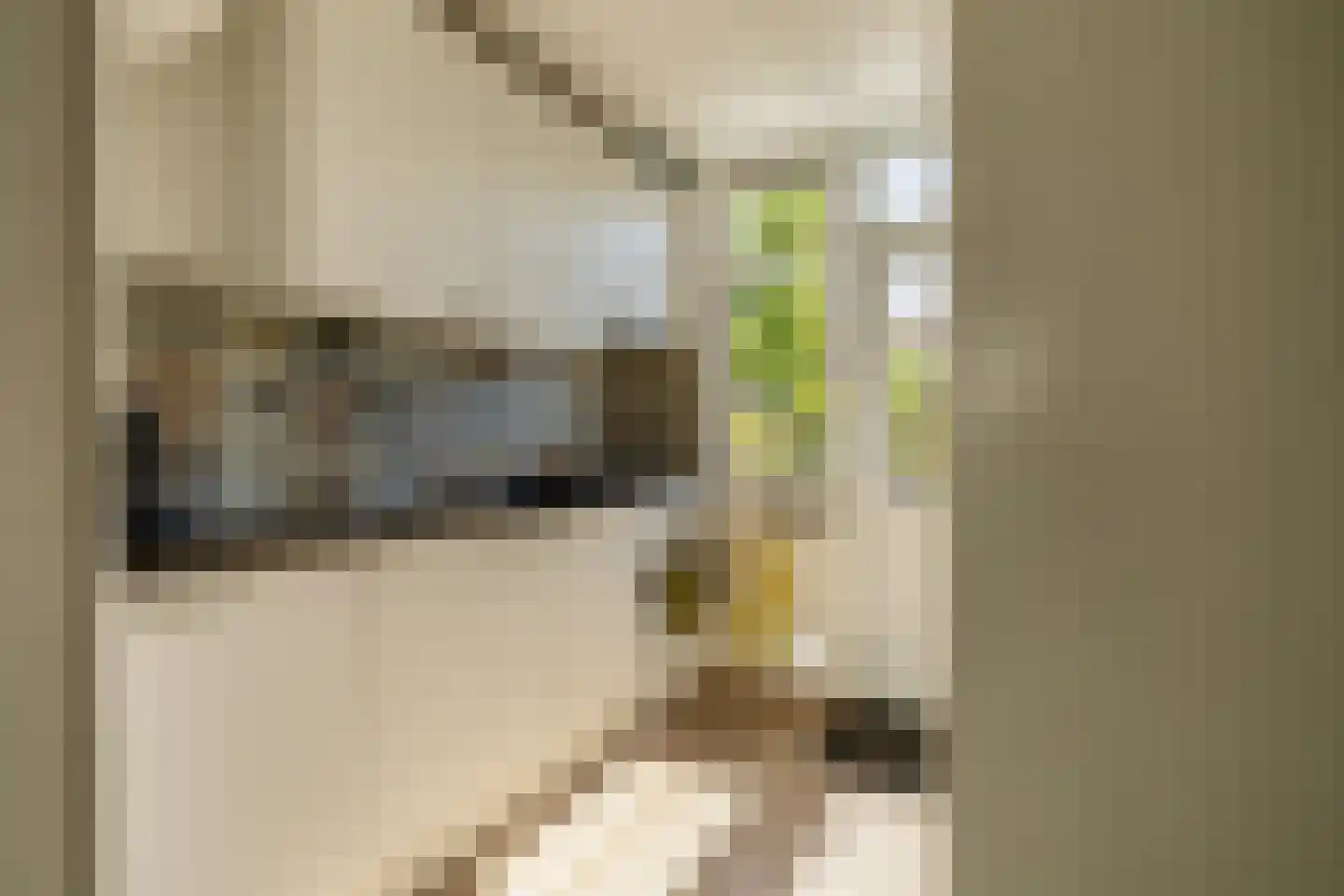 Pinksterbloemstraat 6 Krommenie thumbnail 16