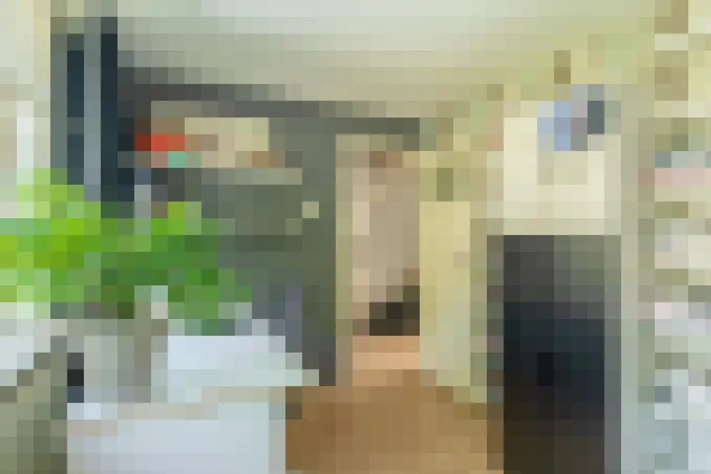 Pinksterbloemstraat 6 Krommenie thumbnail 25