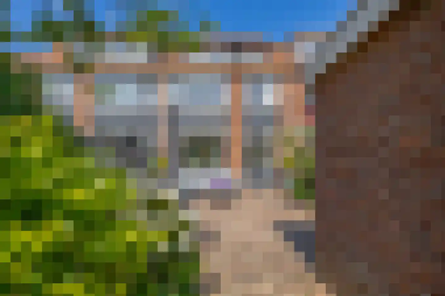 Pinksterbloemstraat 6 Krommenie thumbnail 36