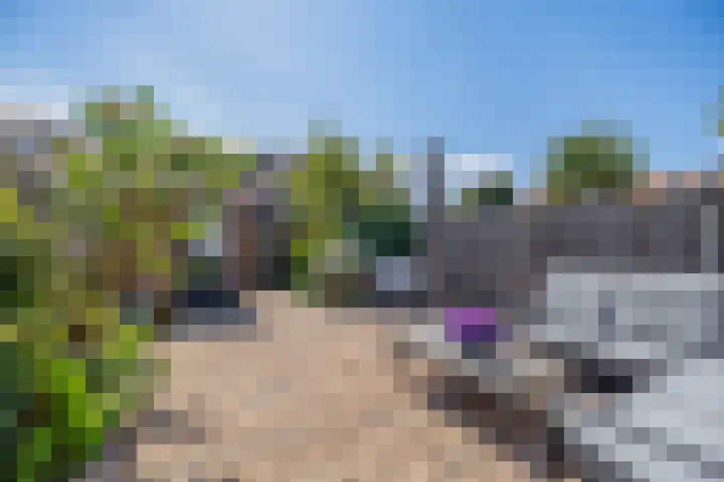 Pinksterbloemstraat 6 Krommenie thumbnail 4