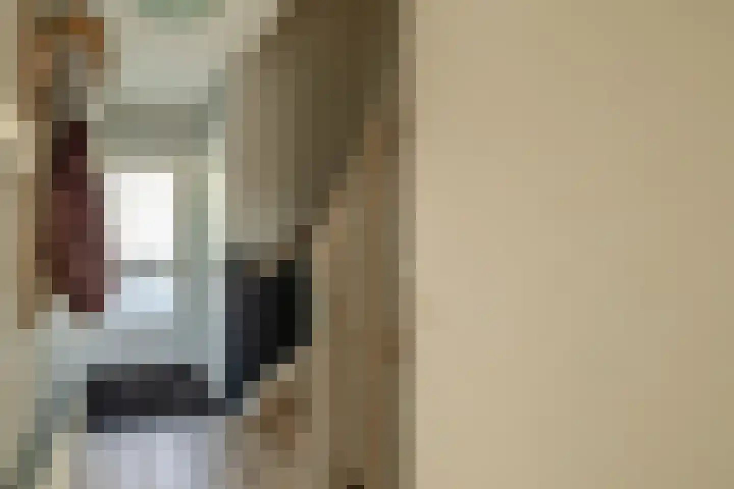 Pinksterbloemstraat 6 Krommenie thumbnail 7