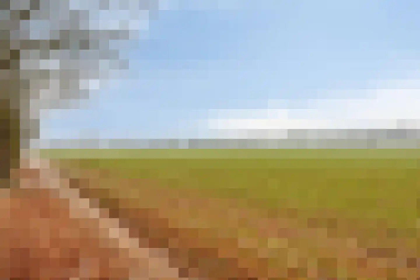 Pinksterbloemstraat 6 Landhorst thumbnail 33