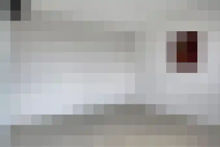 Pinksterbloemstraat 7 Goes thumbnail 20
