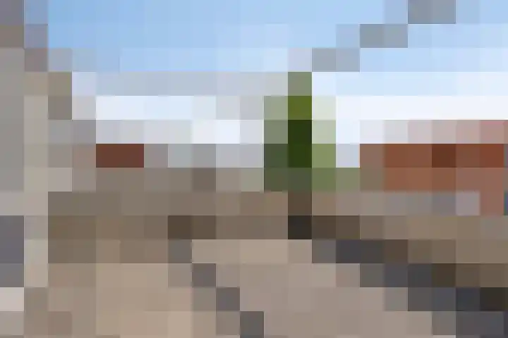 Pinksterbloemstraat 7 Goes thumbnail 22