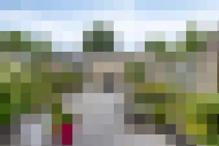 Pinksterbloemstraat 7 Goes thumbnail 23
