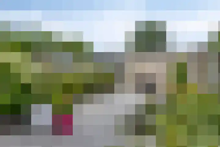 Pinksterbloemstraat 7 Goes thumbnail 24