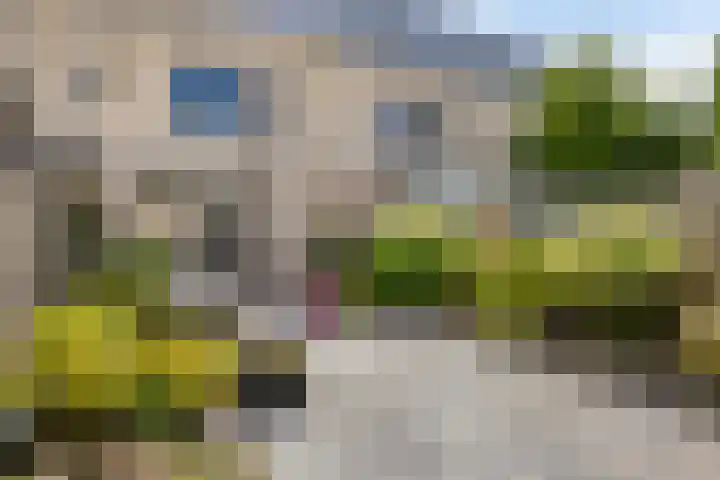 Pinksterbloemstraat 7 Goes thumbnail 25