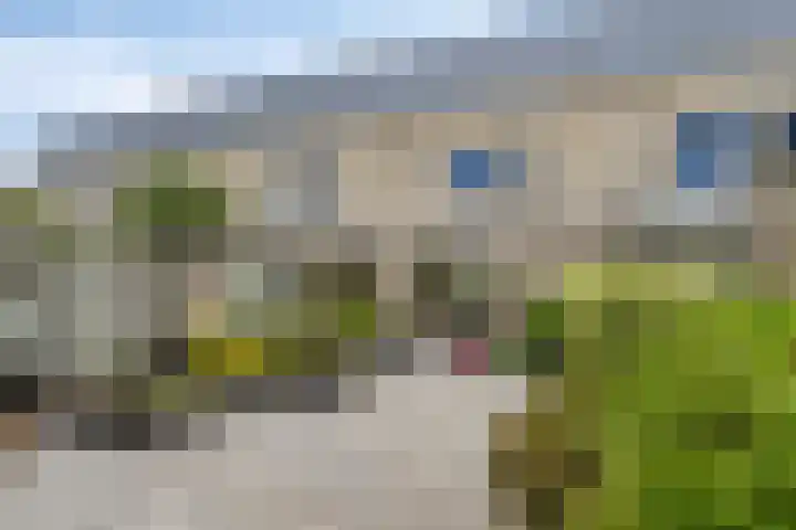 Pinksterbloemstraat 7 Goes thumbnail 26