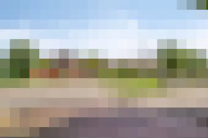 Pinksterbloemstraat 7 Goes thumbnail 29