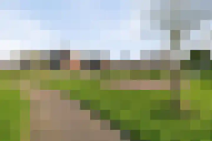 Pinksterbloemstraat 7 Goes thumbnail 30